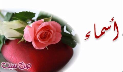 اسم أسماء في صورة