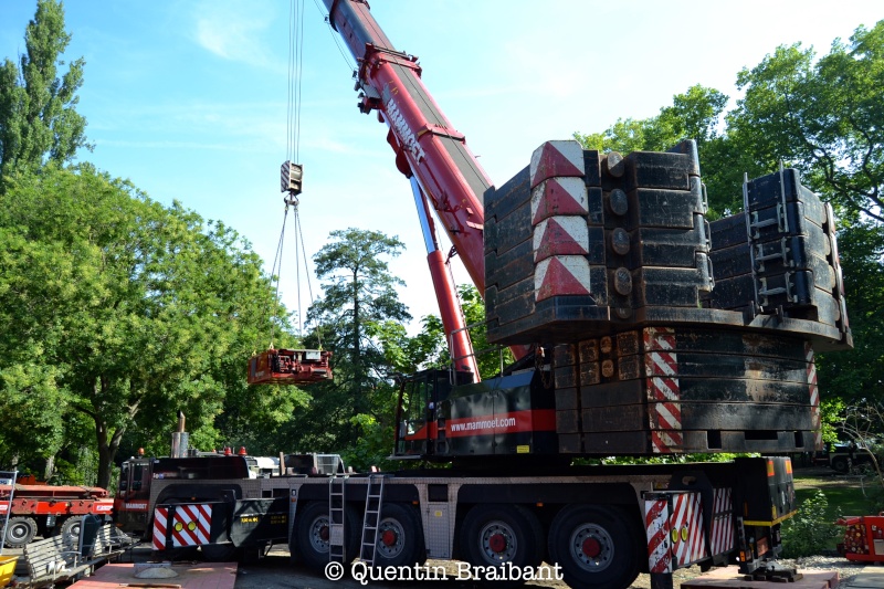 Les grues de MAMMOET (Hollande) - Page 18 Dsc_0115