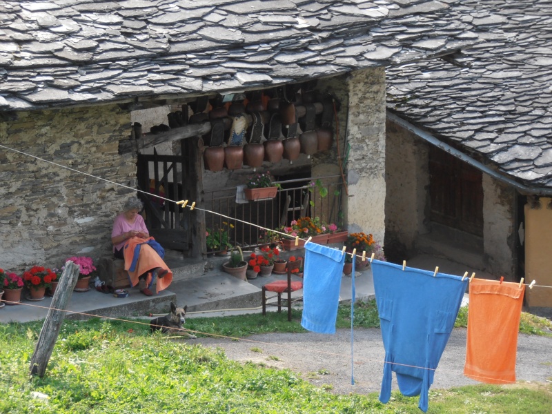 Hors défi d'Aout 2015 " LINGE QUI SECHE "(fin le 30/08) P8230410