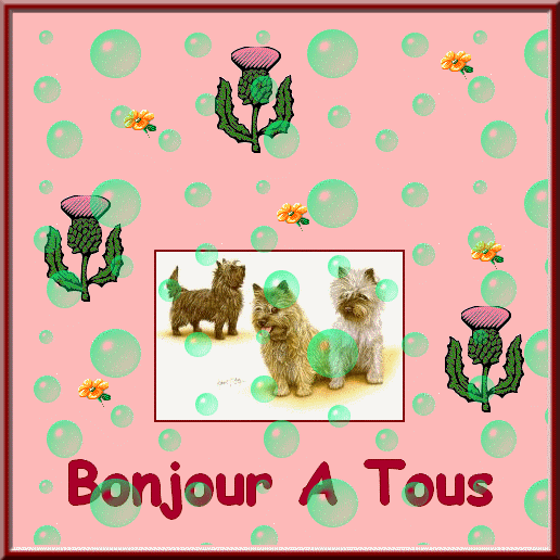 Cairn de juin 2015 - Page 17 Chien_10