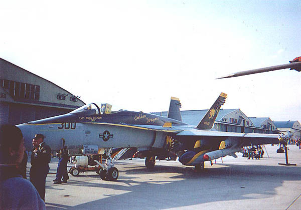 F/A-18C VFA-192 Golden Dragons CAG "Wings of Astugi 1996" Vfa-1910