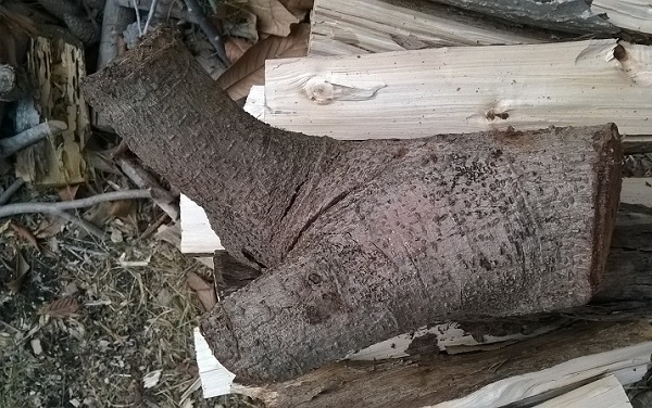 che legno è? Wp_20121