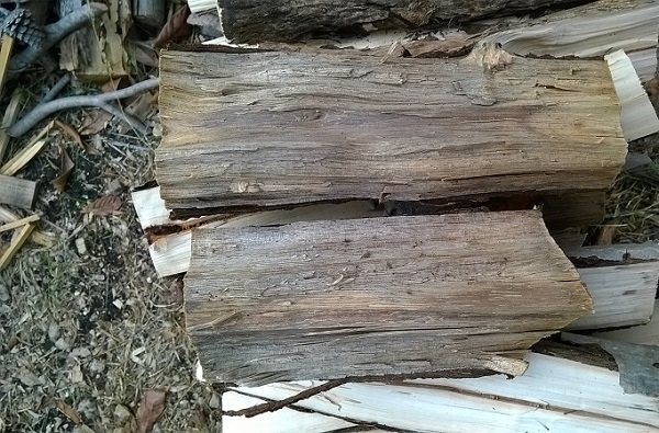 che legno è? Wp_20122