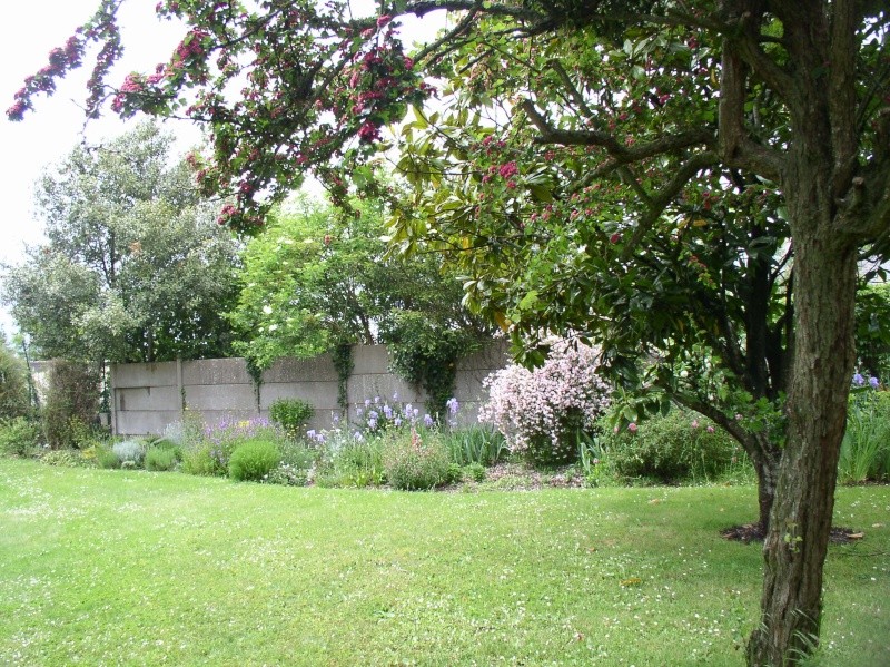 Mon jardin éphémère en Anjou... Plate_10
