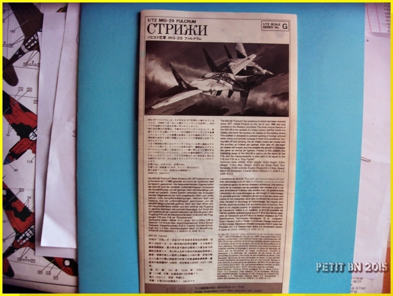 [FUJIMI] MIKOYAN-GOUREVICH  MiG 29 FULCRUM 1/72ème Réf 35115 Apdc0163