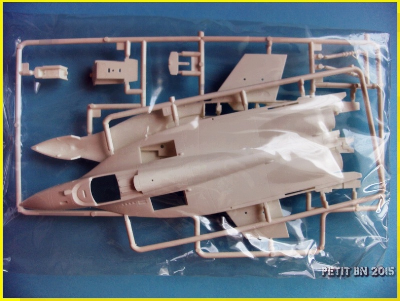 [FUJIMI] MIKOYAN-GOUREVICH  MiG 29 FULCRUM 1/72ème Réf 35115 Apdc0167