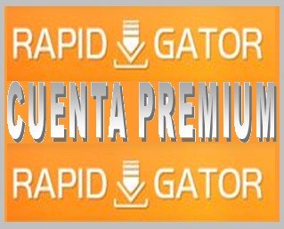 RAPIDGATOR Premium Accounts 20-08-2015 Cuenta12