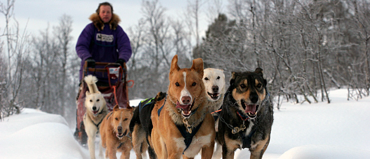 Le team "des chiens, des sport, une seule passion" - Page 20 631910