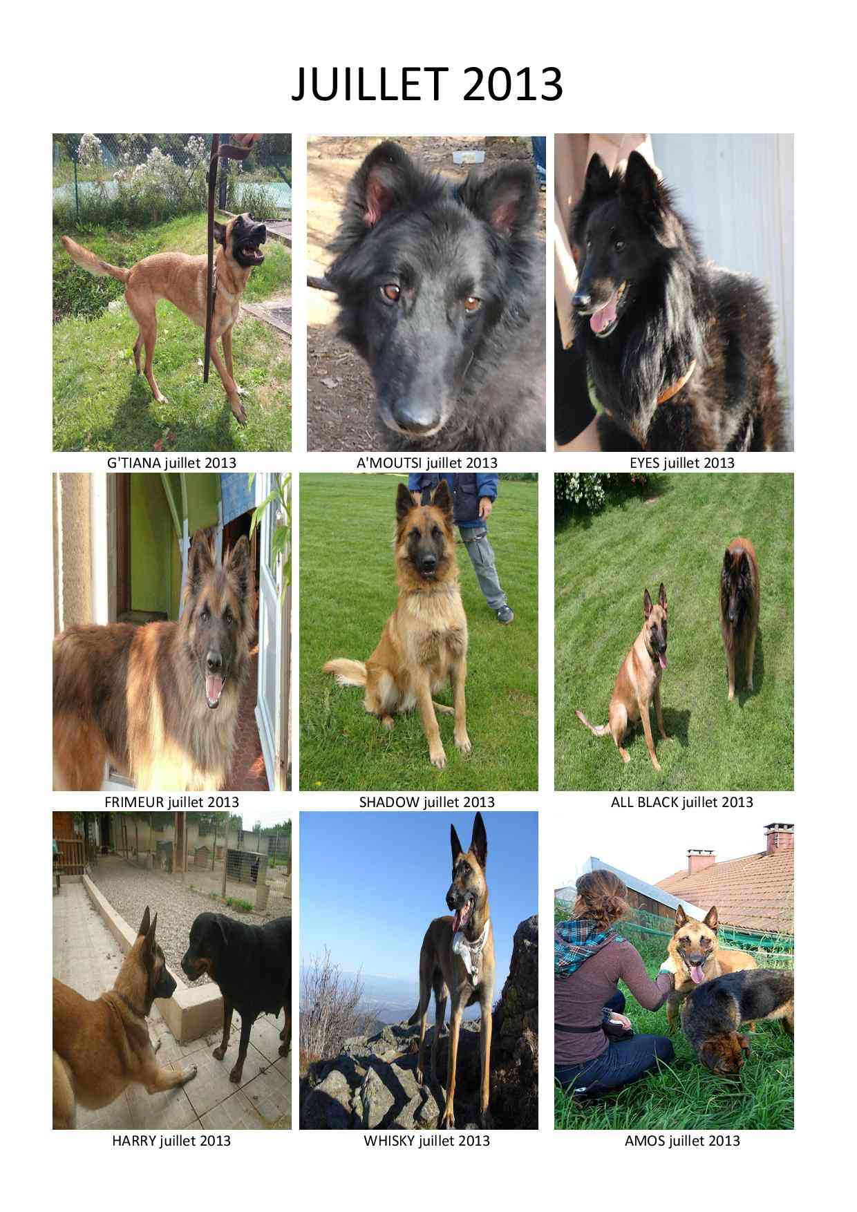 Les photos de nos adoptés 2013 Juille11