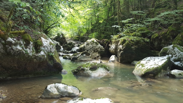 c'est simple m'a plus grande journée de pêche 20150711