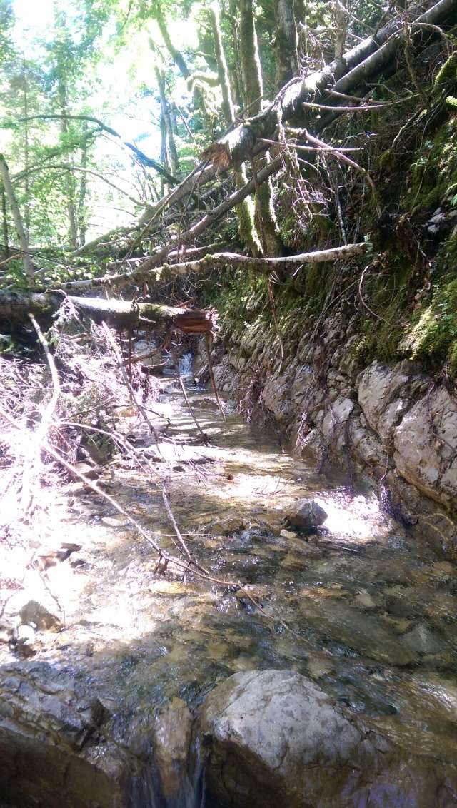 A la découverte d'un ruisseau Imag0419