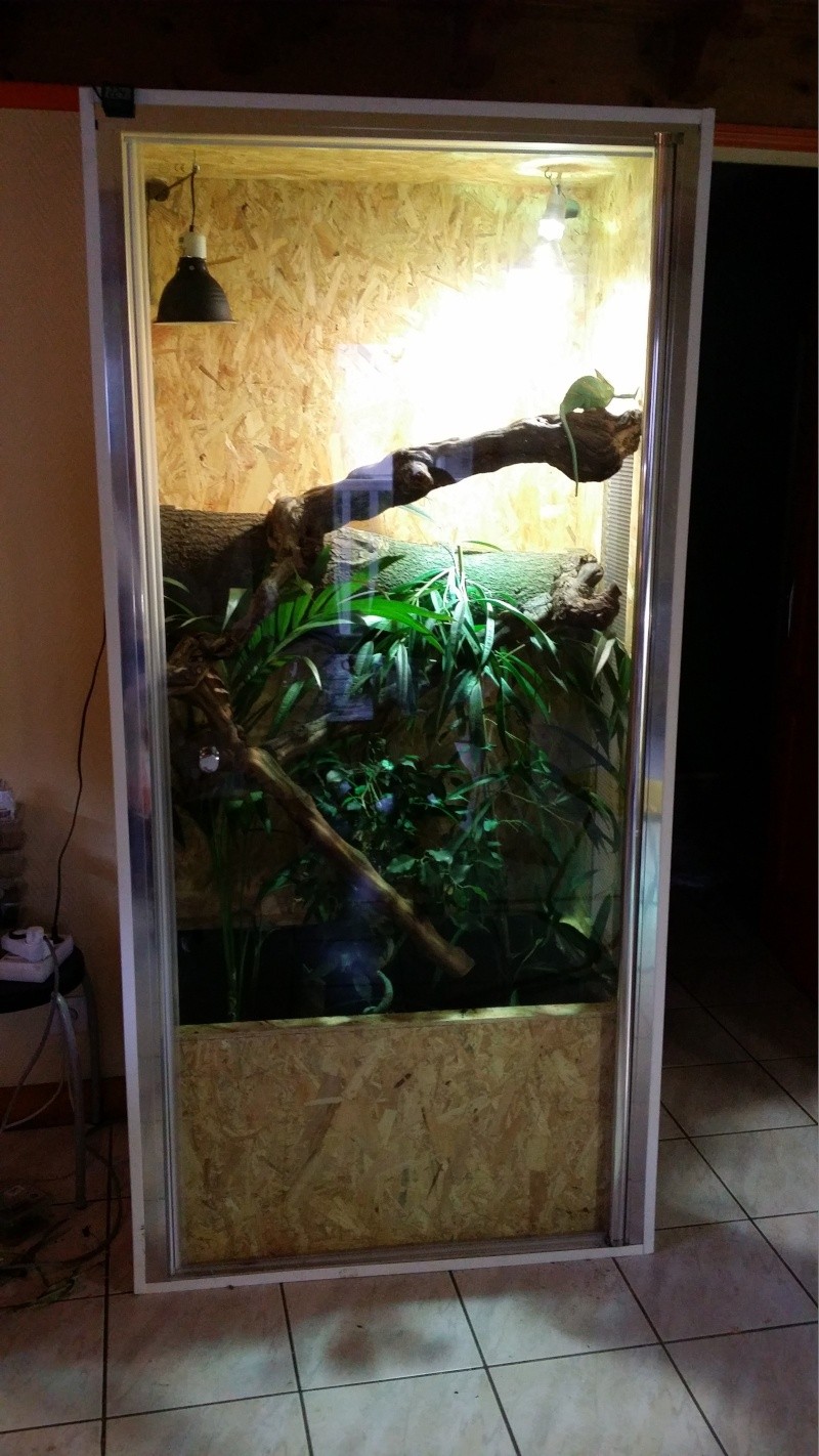 mon terrarium 20150312