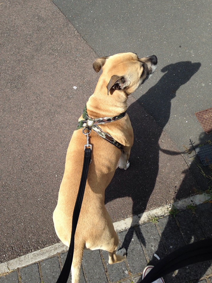 Rio has taken a leaf out of Harley's book! 11257211