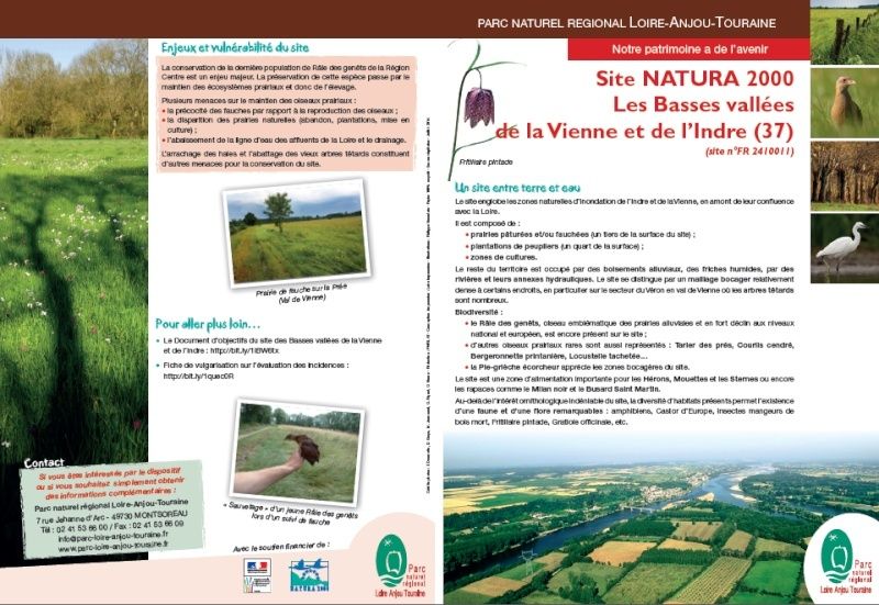 Basses vallées de la Vienne et de l'Indre & Changeon-Roumer (37) : Fiches de présentation sites Natura 2000, habitats et espèces Sans_t10