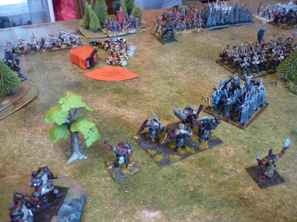 [KoW] Rapport de bataille Morts Vivants et Elfes vs Ogres et Varangurs P1340826