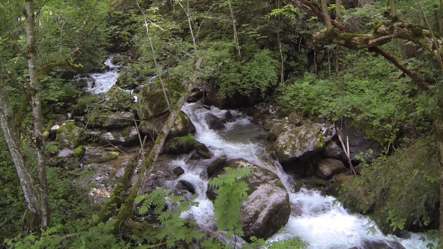 Mon ouverture en lac de Montagne Vlcsna12