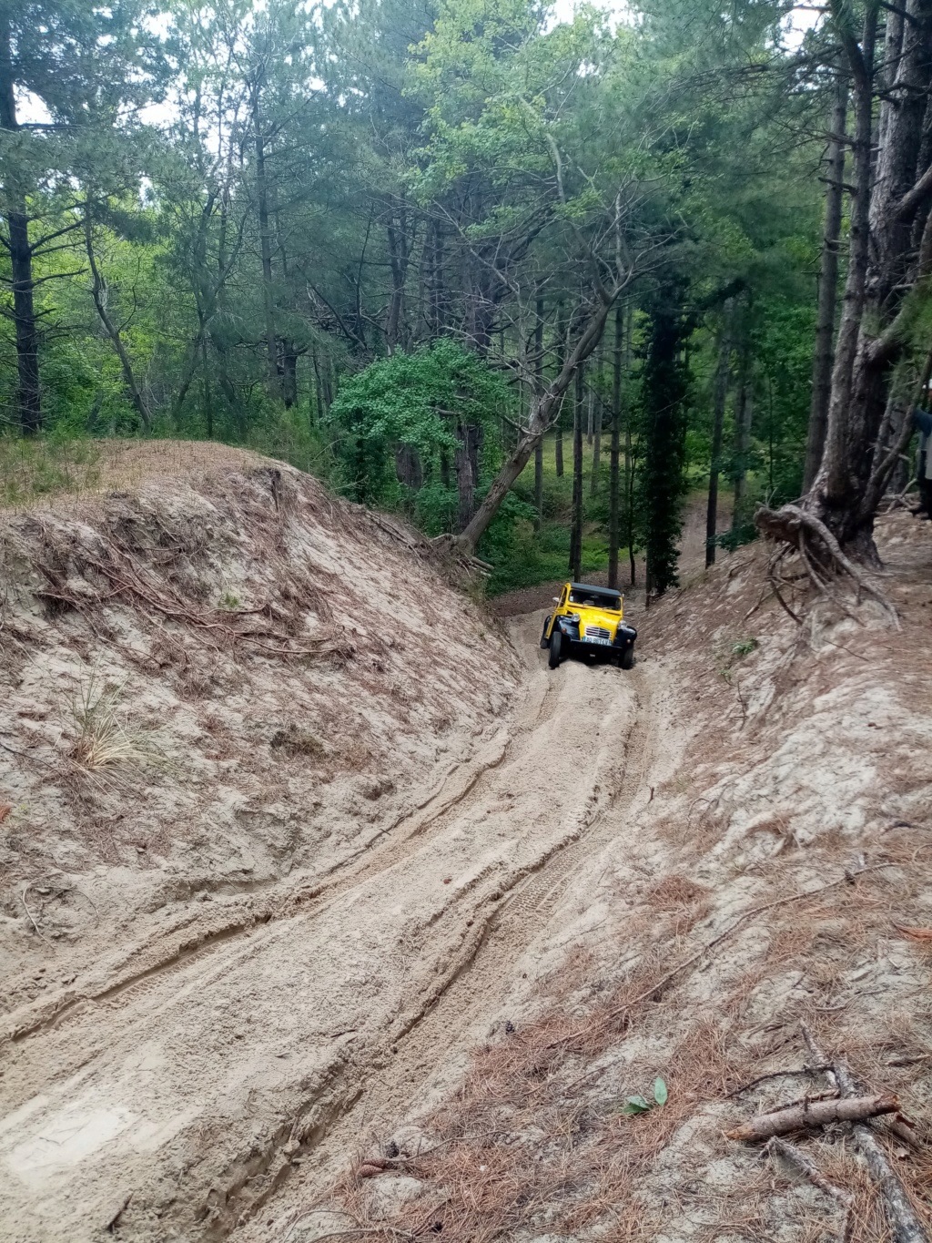 Sortie 2CV 4X4 parc du Marquenterre Samedi 13 JUIN 2020 Img_2017