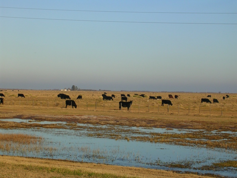 Un petit tour en Argentine. Dscn0314