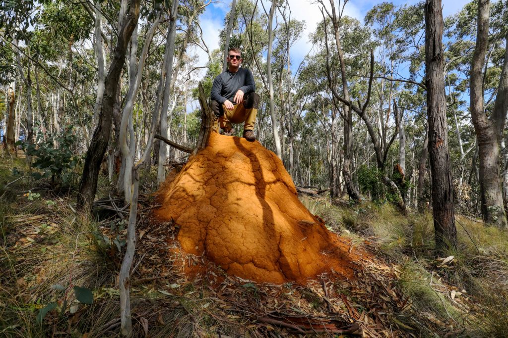 GOLD - Bathurst / Sturart Town / Glow-Worms venture (PICS) - Sept 2019 Img_2812