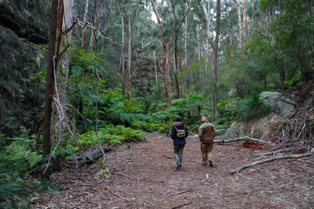 GOLD - Bathurst / Sturart Town / Glow-Worms venture (PICS) - Sept 2019 Img_3118