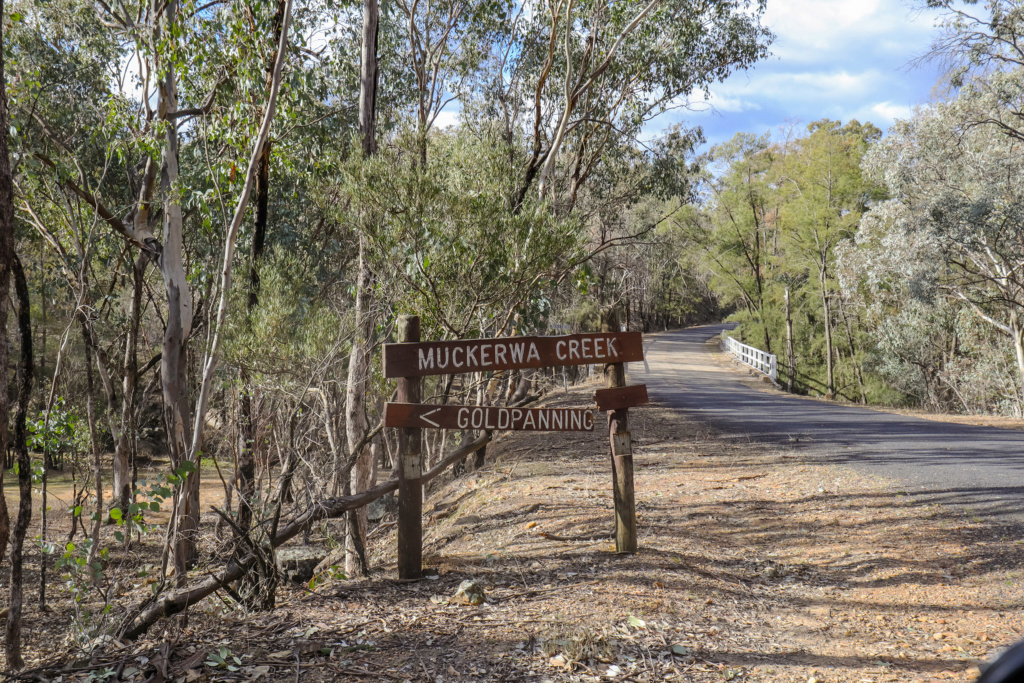 GOLD - Bathurst / Sturart Town / Glow-Worms venture (PICS) - Sept 2019 Img_3512