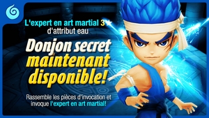 Donjon secret : Artiste martial d'eau Secret16