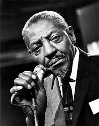 Harmonica Blues Legends (Sonny Boy Williamson I & II + Little Walter) - Page 3 Tylych12