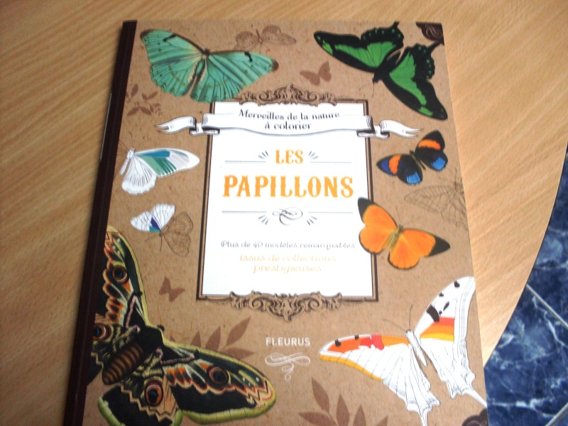 Merveilles de la nature à colorier - Les Papillons - éd. FLEURUS Sdc11212