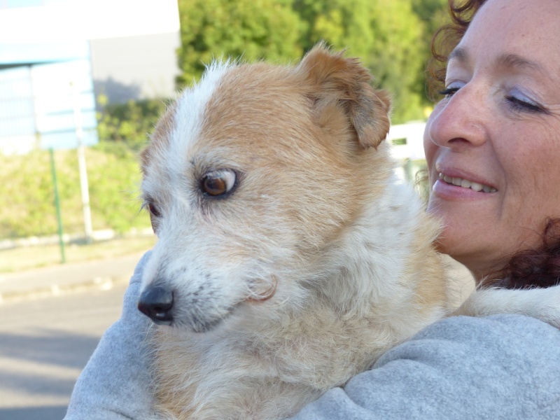 ARRIVEE DES CHIENS D ORASTIE - RAPATRIEMENT CAMION DU 16 AOUT 2015 - Page 6 P1020015