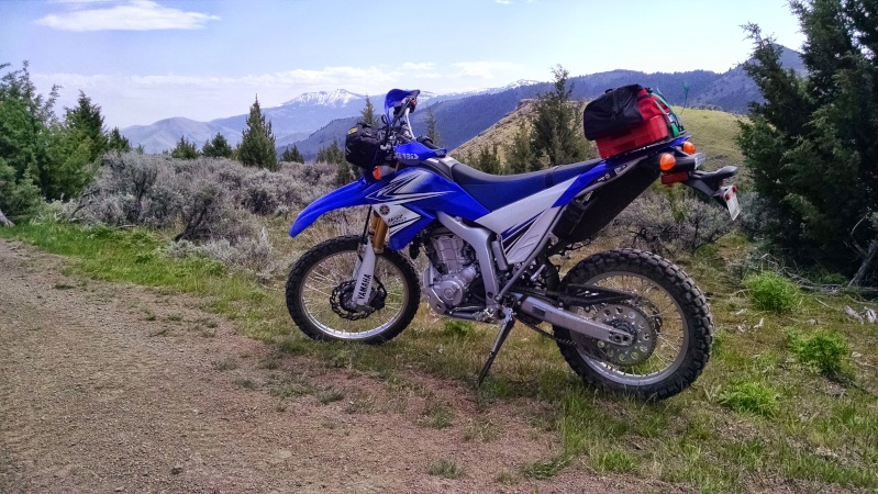 WWGuy's WR250R photo thread Wr250r10