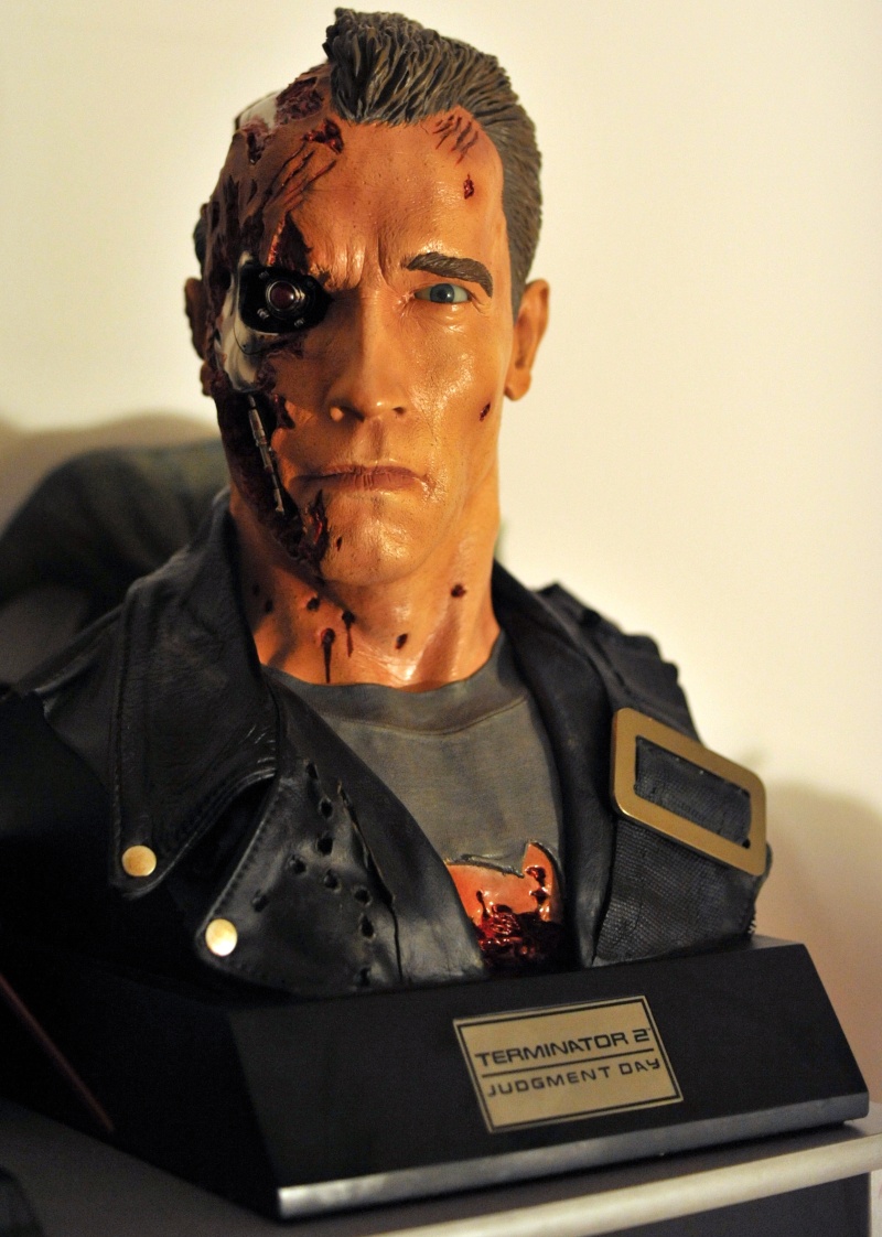 Collection n°529 : Rocketeer67 - MAJ oct 2020 - T-rex 1:5 chronicle collectibles 2010