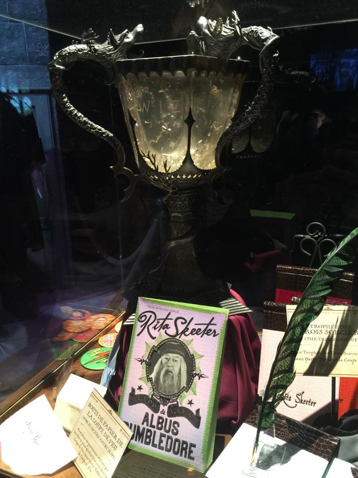 Exposition Harry Potter à Paris 11872710