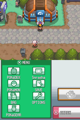 [HeartGold] Les insectes in the sect Or_16111