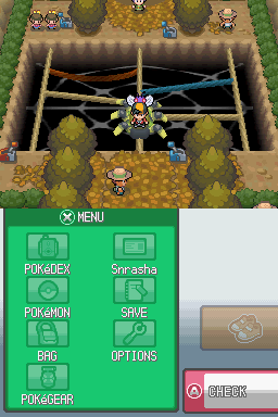 [HeartGold] Les insectes in the sect Or_23910