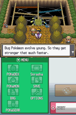 [HeartGold] Les insectes in the sect Or_29710
