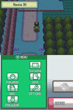 [HeartGold] Les insectes in the sect Or_78810