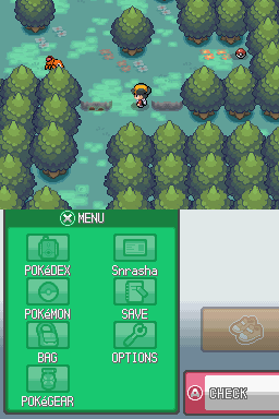 [HeartGold] Les insectes in the sect Or_80110