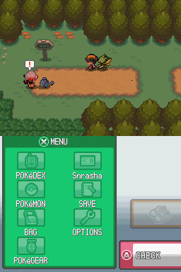 [HeartGold] Les insectes in the sect Or_83510