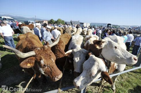 La Haute Auvergne est à vendre, ici (et pour rien !)  Val_fo10