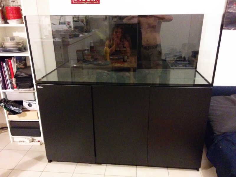 Le magnificon REEFER 450 Img_2015