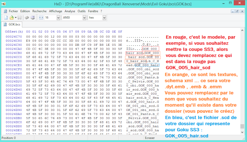 Les fichiers .bcs Tuto210