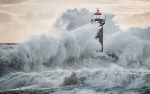 Les Incroyables Maisonnettes En Pleine Mer Sur Les Ilots Des Ecrehou Page 3