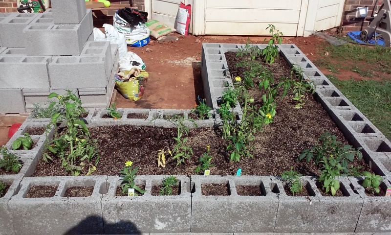 First Raised Bed Img-2012