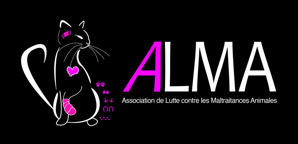 ASSOCIATION ALMA 