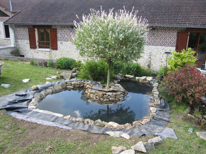 Petit bassin en Picardie Img_2812