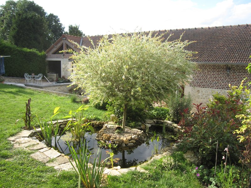 Petit bassin en Picardie Img_3010