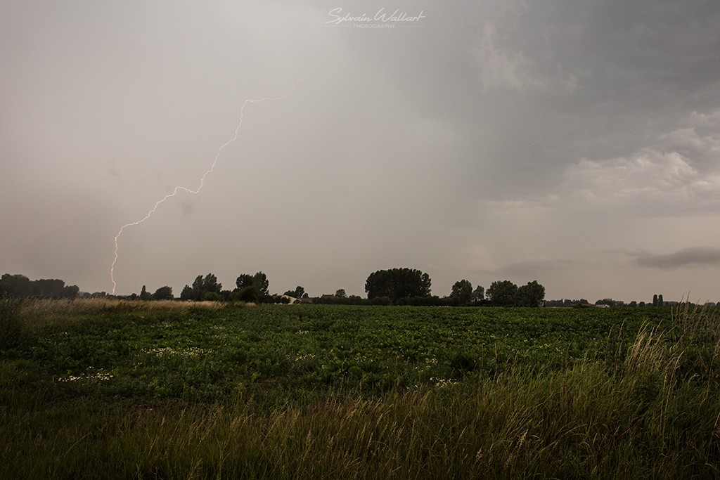 Orage de ce matin !  Img_7813