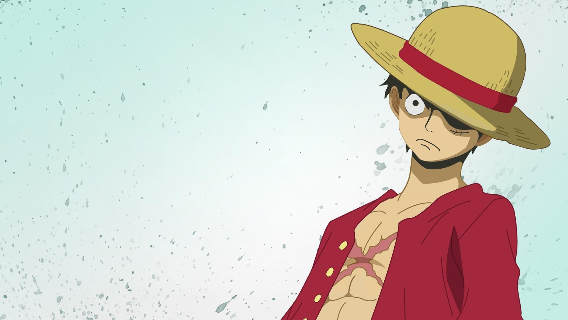 Anime / One Piece 516
