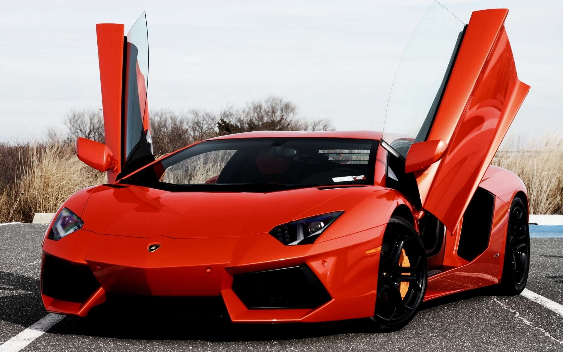 Vehicles - Lamborghini  931810
