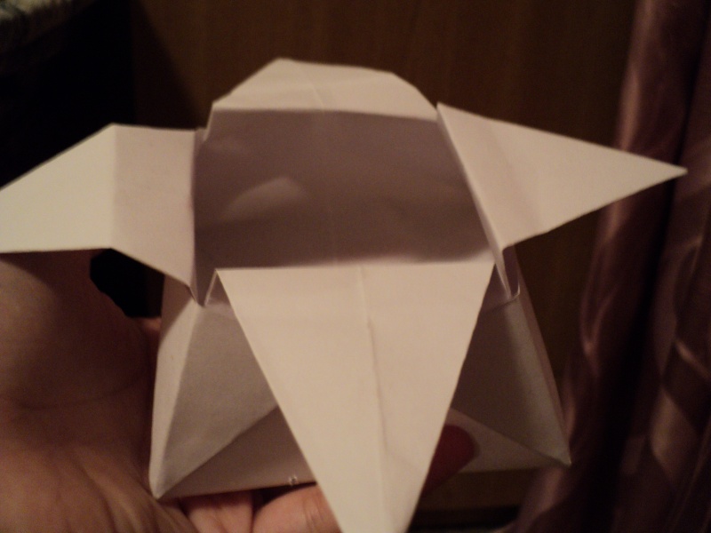 Origami Dsc01510